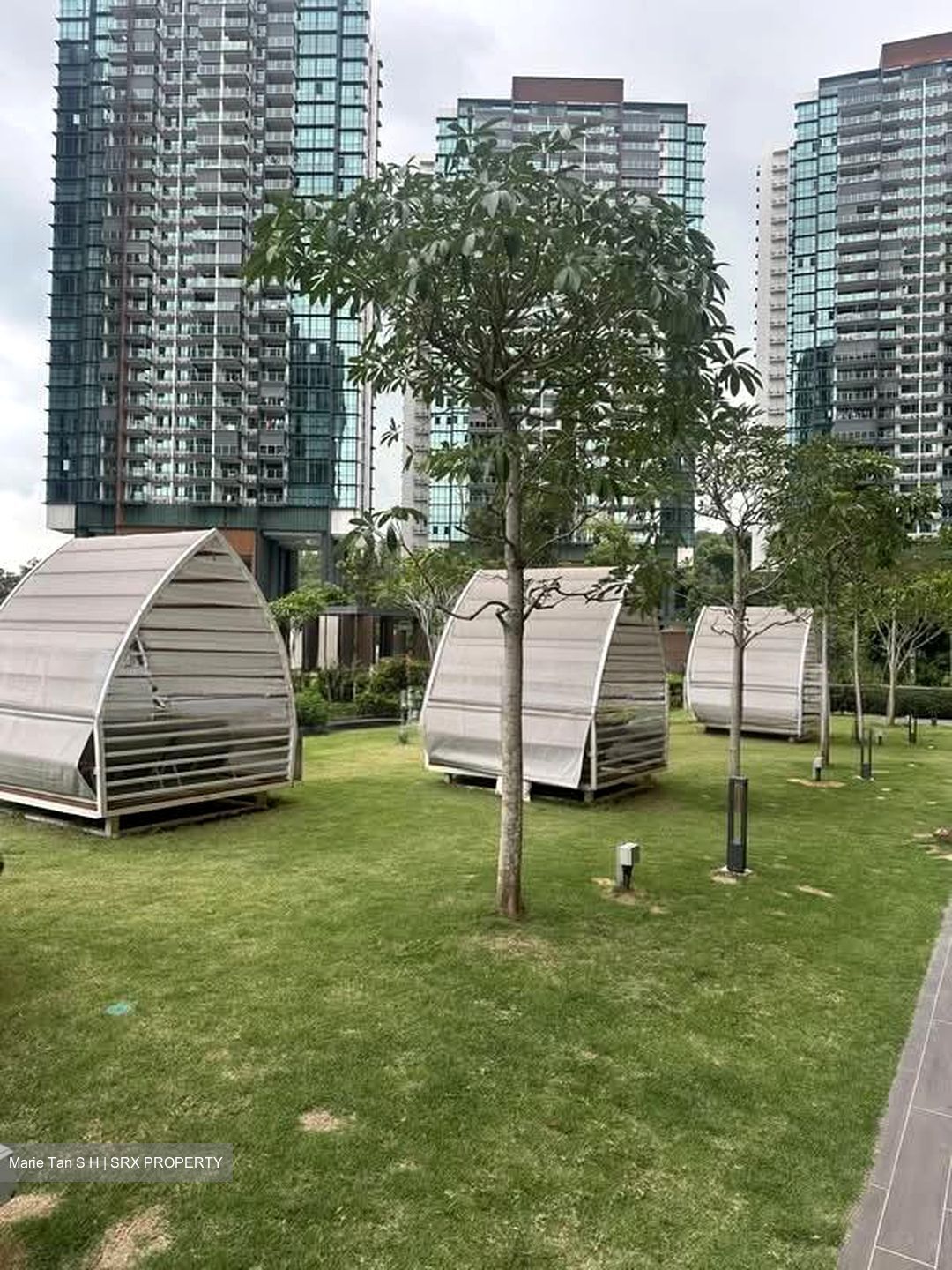 Normanton Park (D5), Apartment #554545961